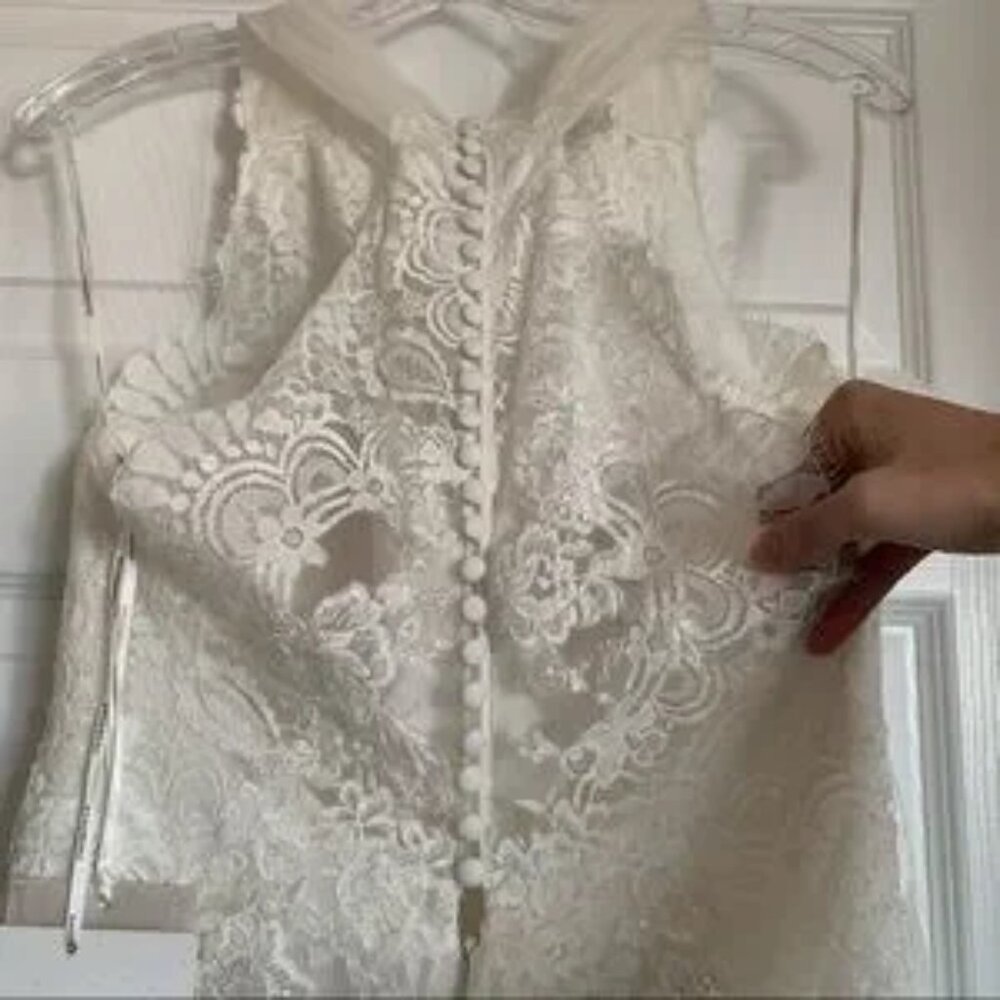 Pronovias Draconia Wedding Dress - Picture 13 of 13